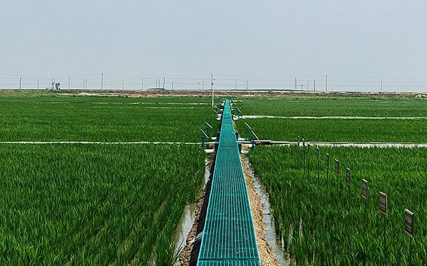 平度移動wifi上門安裝電話